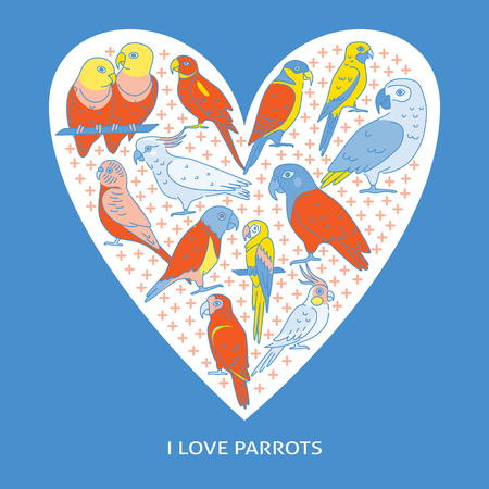 Tropical birds concept banner in colored line style. Poster or flyer template with parrot symbols and text. Vector illustration.のイラスト素材