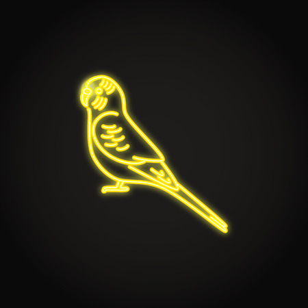 Budgerigar or budgie parrot icon in glowing neon style. Australian tropical bird symbol. Vector illustration.のイラスト素材