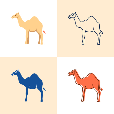 Camel icon set in flat and line styleのイラスト素材