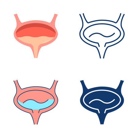 Bladder icon set in flat and line styleのイラスト素材