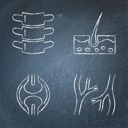 Human organs icon sketch set on chalkboardのイラスト素材