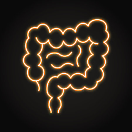 Human intestine neon line icon. Internal body organ, digestive system. Vector illustration.のイラスト素材