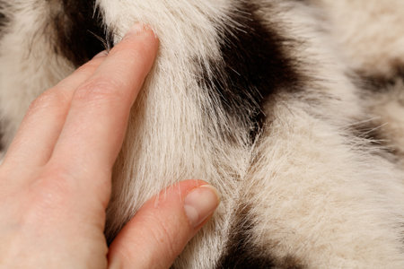 Hand touching soft faux fur texture