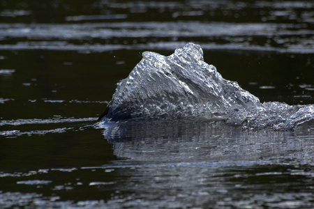 Water Wall
