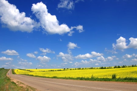 highwayの写真素材