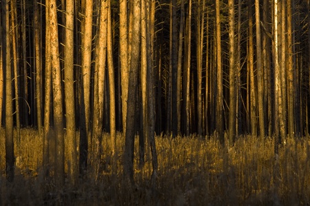 alleyの写真素材