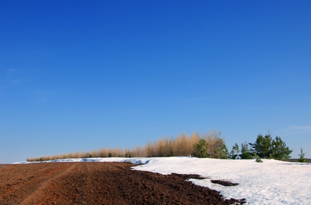 Spring last snowの写真素材