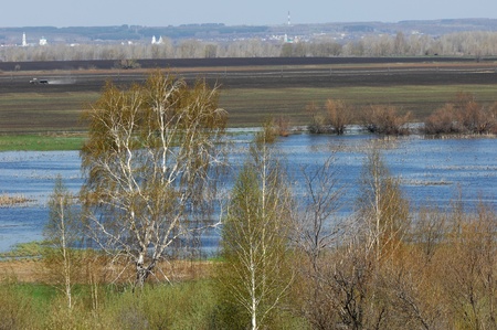 Spring River Treeの写真素材