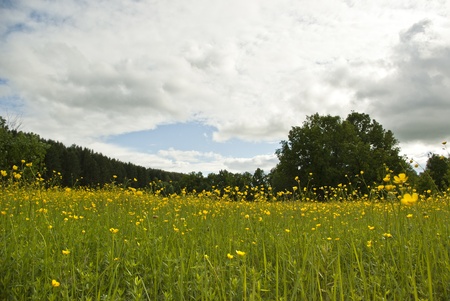 springの写真素材