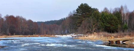 springの写真素材