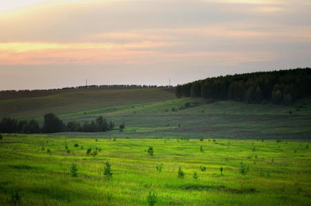 summerの写真素材