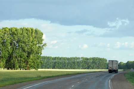 summerの写真素材