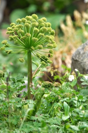 mountainsの写真素材