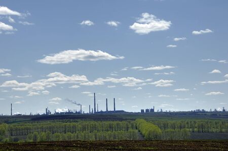 plantの写真素材