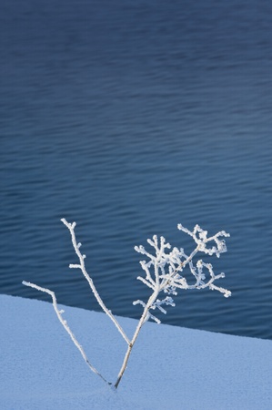 winterの写真素材