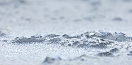 winterの写真素材