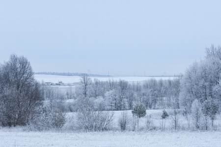 winterの写真素材