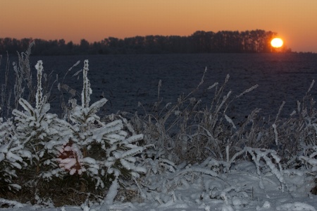 winterの写真素材