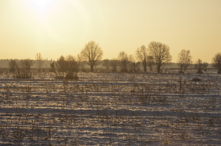winterの写真素材