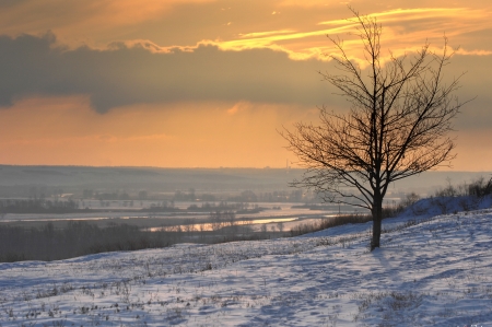winterの写真素材