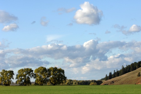 autumnの写真素材