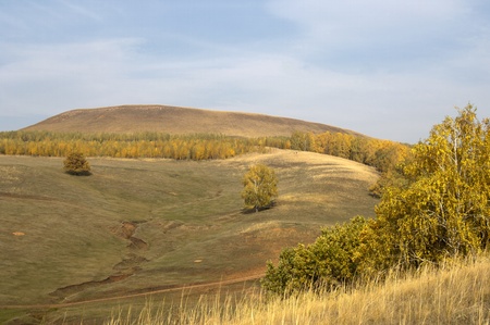 Autumnの写真素材