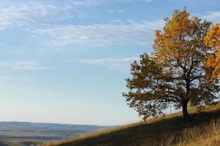 autumn