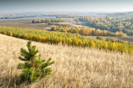 Autumnの写真素材