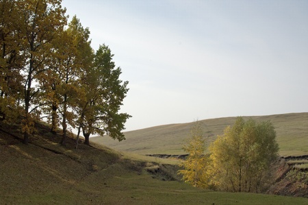Autumn