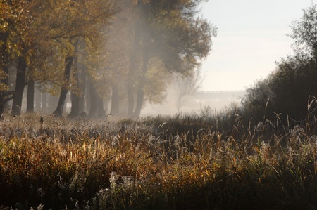 autumn