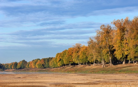 autumnの写真素材
