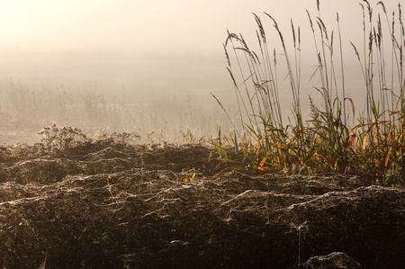 autumnの写真素材