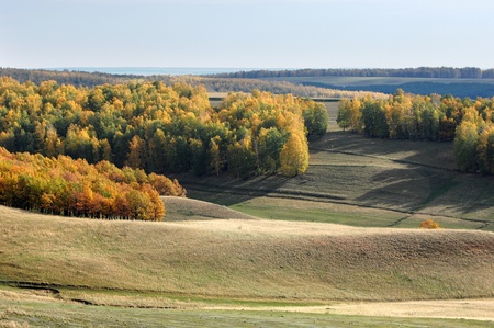 autumnの写真素材