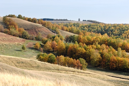autumnの写真素材