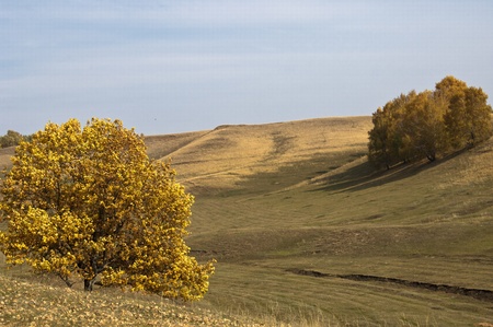 Autumn