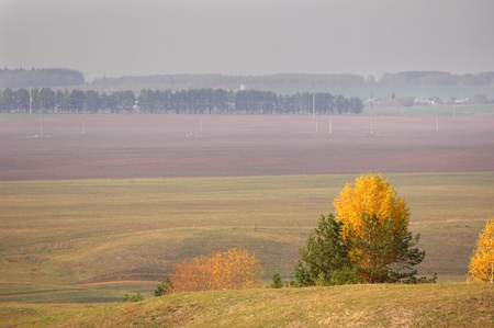 autumnの写真素材