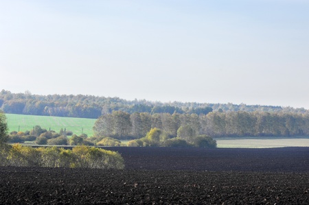 autumnの写真素材