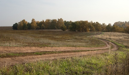 Autumnの写真素材