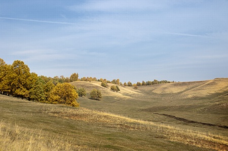 Autumnの写真素材