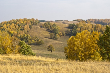 Autumnの写真素材
