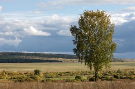 Autumn in the Mountainsの写真素材