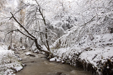 river  Ili Kazakhstanの写真素材