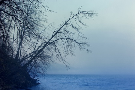 river  の写真素材