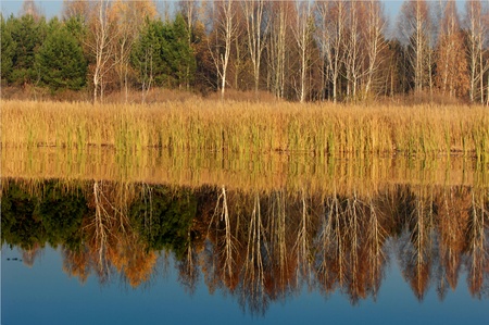 river river