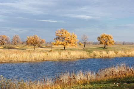 Autumn, the golden couple of the year,の写真素材