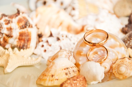 wedding, bride, married, love, women, happiness, dress, people, romance, celebration, couple, cheerful, female, flower, smiling, beautiful, adult, togetherness, young, bouquet, outdoors, men, ceremony, two, newlywed, lifestyles, white, reception, male, beの写真素材