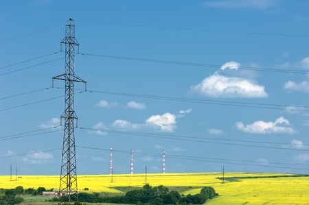 Power poles. rapeseed field.blue sky. good mood