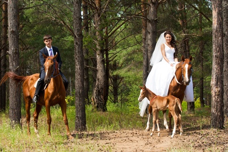 weddingの写真素材