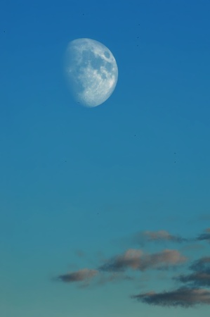 Cloud  High in the sky blue  Cumulus clouds  A blue sky
