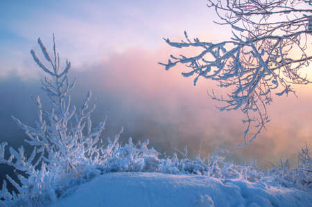 River winter in Russia  Tatarstan Kamaの写真素材